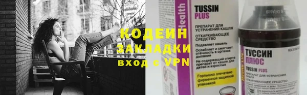 эйфоретик Алзамай