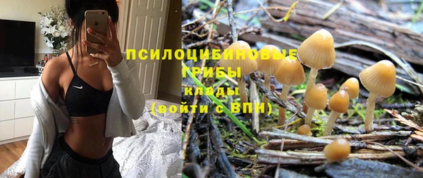 бошки Алексин